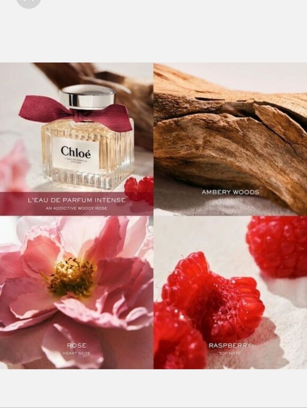 Chloé Intense - Red 10ml New In Box - Picture 3 of 3